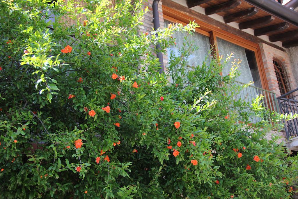 B&B Il Melograno Del Garda Padenghe sul Garda Exteriér fotografie